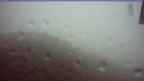 20241004_060127.jpg 
