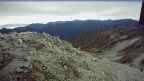 20241010_070106.jpg 