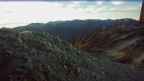 20241024_064114.jpg 