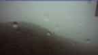 20241030_060109.jpg 
