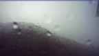20241030_074134.jpg 