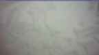 20241230_070056.jpg 