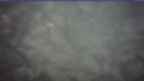 20250104_064100.jpg 