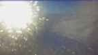 20250116_072129.jpg 