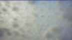 20250124_072105.jpg 