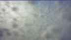 20250124_074056.jpg 