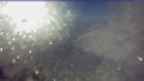 20250125_080102.jpg 
