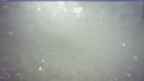 20250204_104138.jpg 