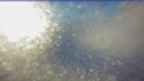 20250215_070102.jpg 