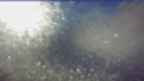 20250215_074102.jpg 