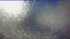 20250215_080111.jpg 
