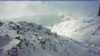 20250327_080051.jpg 