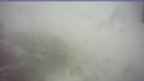 20250328_144127.jpg 