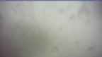 20250328_150129.jpg 