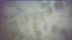 20250329_134128.jpg 