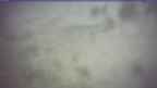20250329_142130.jpg 