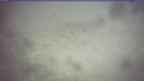 20250329_144124.jpg 