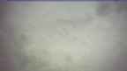 20250329_150120.jpg 