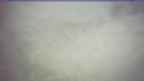 20250329_152139.jpg 
