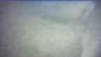 20250331_150132.jpg 