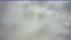 20250401_070049.jpg 