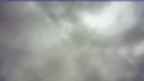 20250401_140136.jpg 