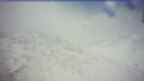 20250404_114121.jpg 