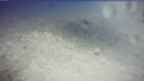 20250404_154135.jpg 