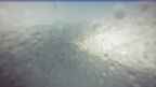 20250405_070052.jpg 