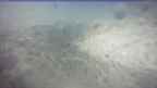 20250405_082058.jpg 