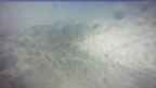 20250405_084058.jpg 