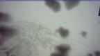 20250406_130118.jpg 