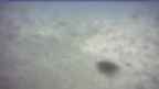 20250409_084056.jpg 