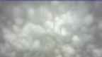 20250414_072053.jpg 