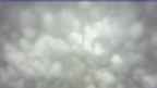 20250414_074047.jpg 