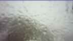 20250420_070050.jpg 