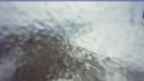 20250420_074046.jpg 