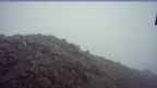 20250525_060054.jpg 