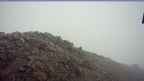 20250601_074058.jpg 
