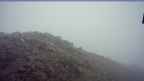 20250614_064050.jpg 