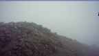 20250623_064058.jpg 