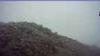 20250624_054104.jpg 