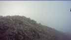 20250630_054052.jpg 