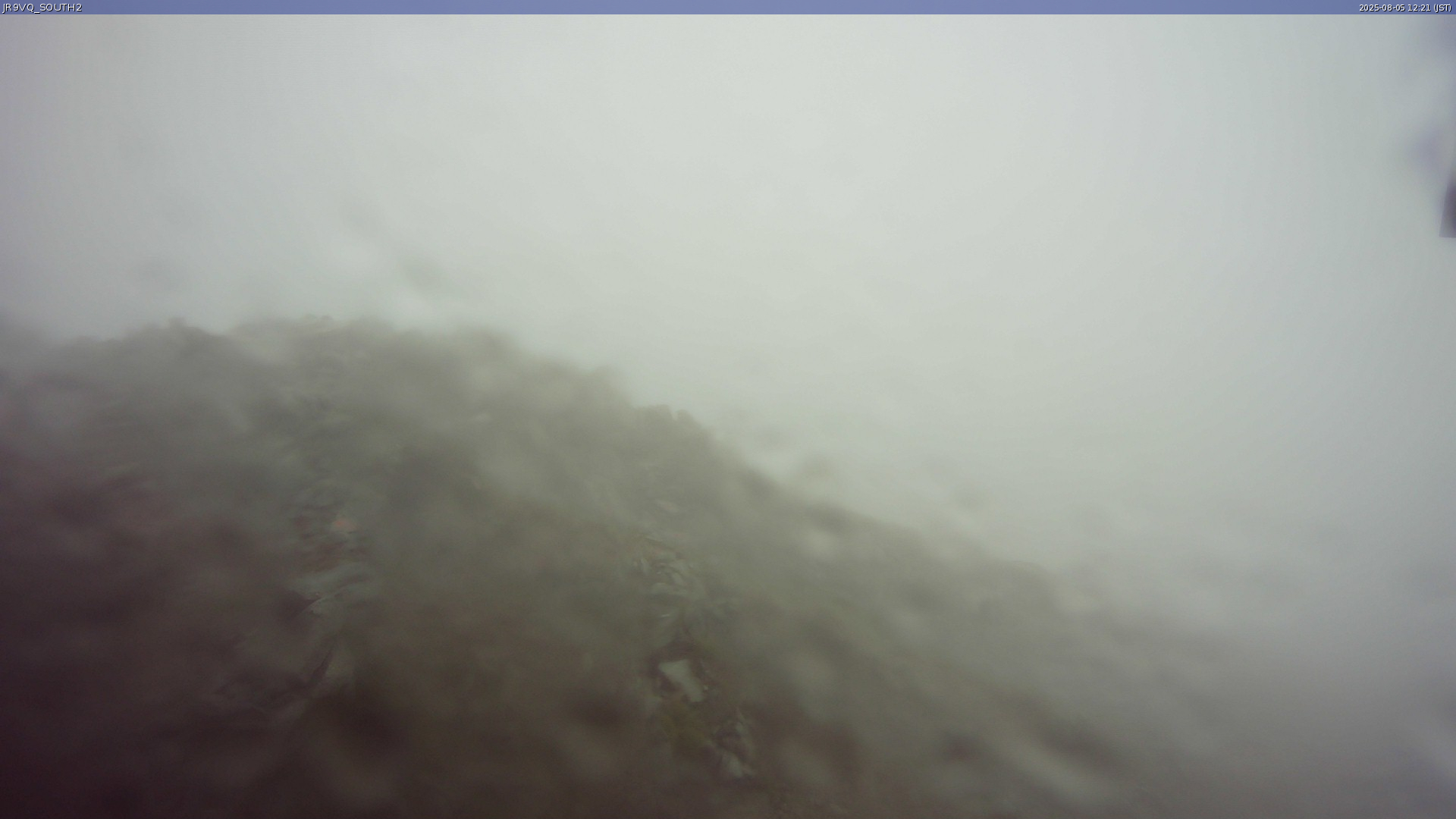 live camera picture