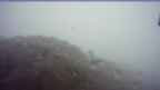 20250806_060048.jpg 