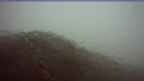 20250925_054048.jpg 