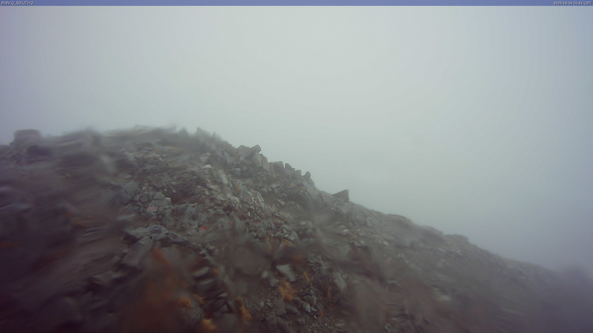 live camera picture