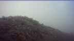 20251001_062051.jpg 