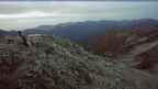 20251003_054048.jpg 
