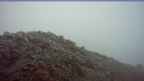 20251006_062057.jpg 